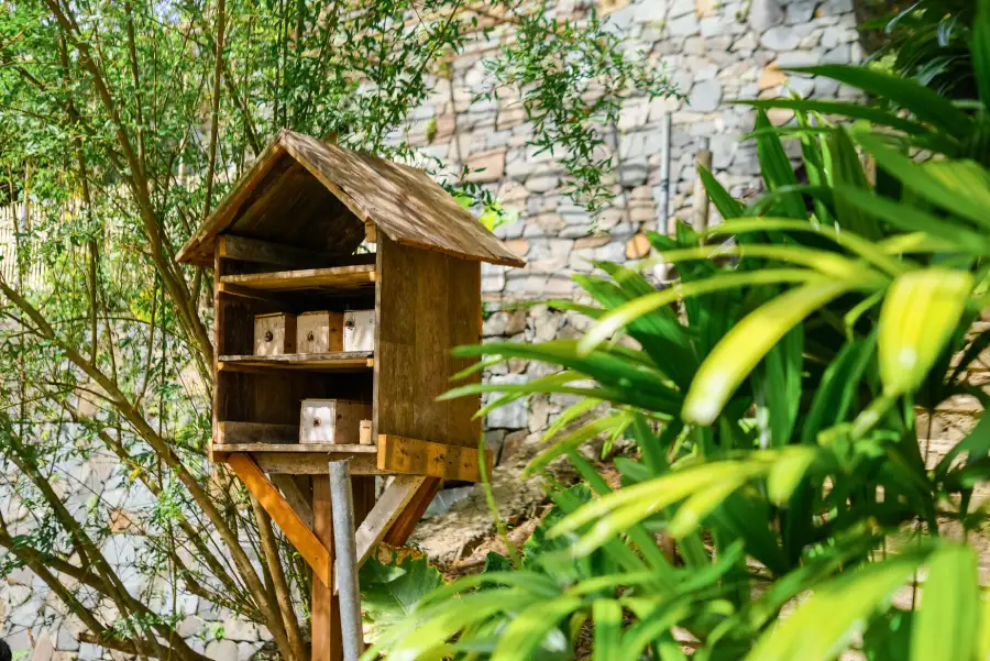 Selong Selo Chef’s Garden is a key initiative that embodies our commitment to a greener future through a holistic garden-to-table concept. 