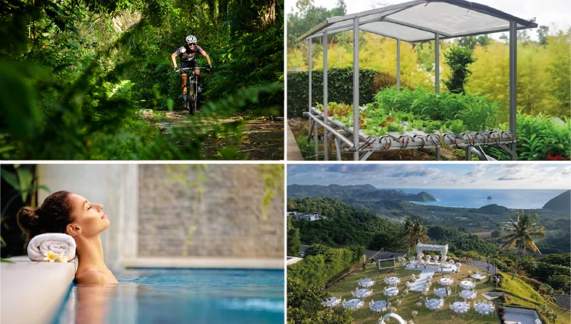 This year, Selong Selo and Lombok hit incredible milestones. From international tourism surges to groundbreaking developments and unforgettable guest experiences, here’s how 2024 Selong Selo and Lombok Unfolded: