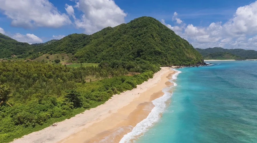 This year, Selong Selo and Lombok hit incredible milestones. From international tourism surges to groundbreaking developments and unforgettable guest experiences, here’s how 2024 Selong Selo and Lombok Unfolded: